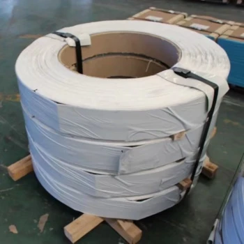 Apa itu Strip ASTM B333 Hastelloy B3?